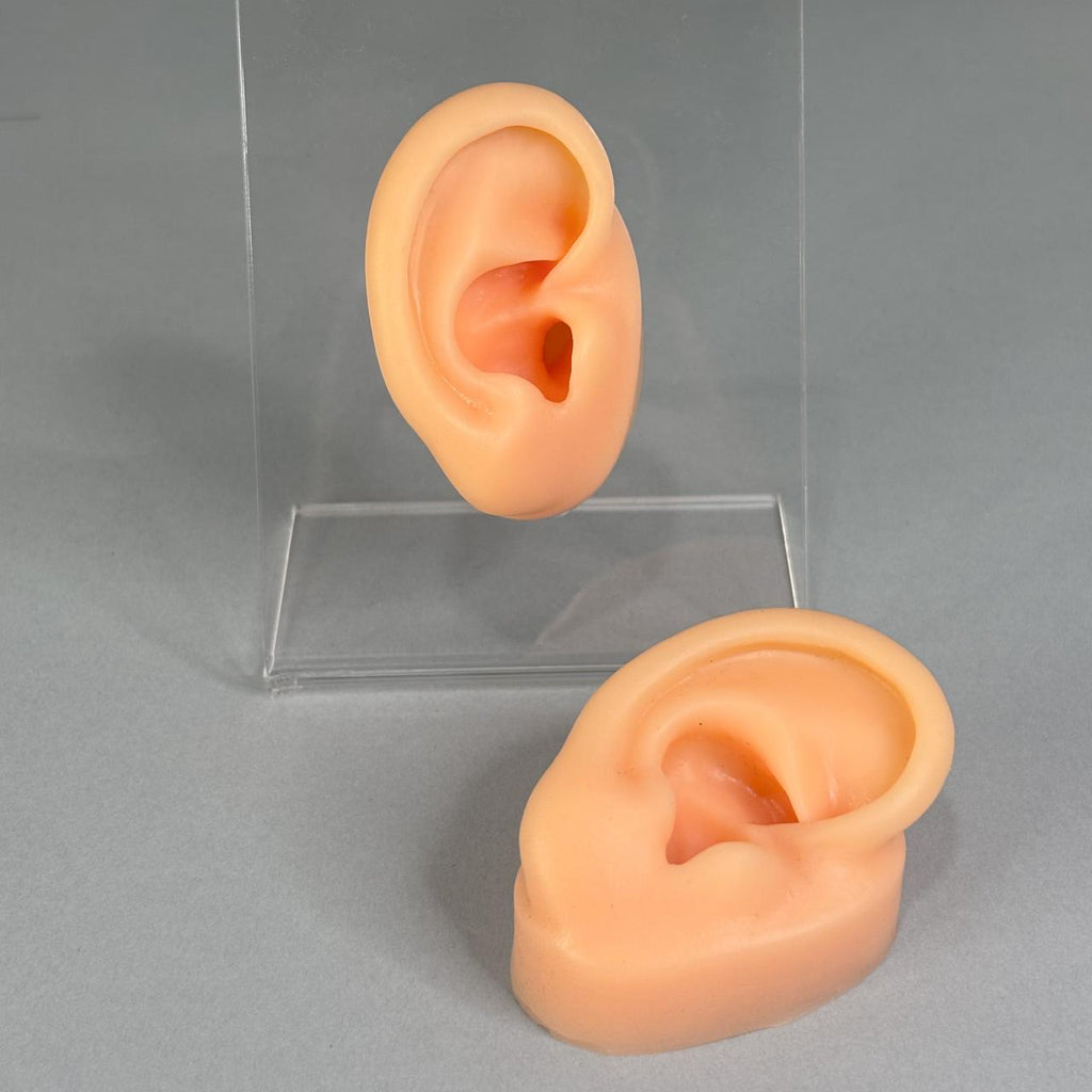 #ACC167 - Exhibidor De Joyería Oreja