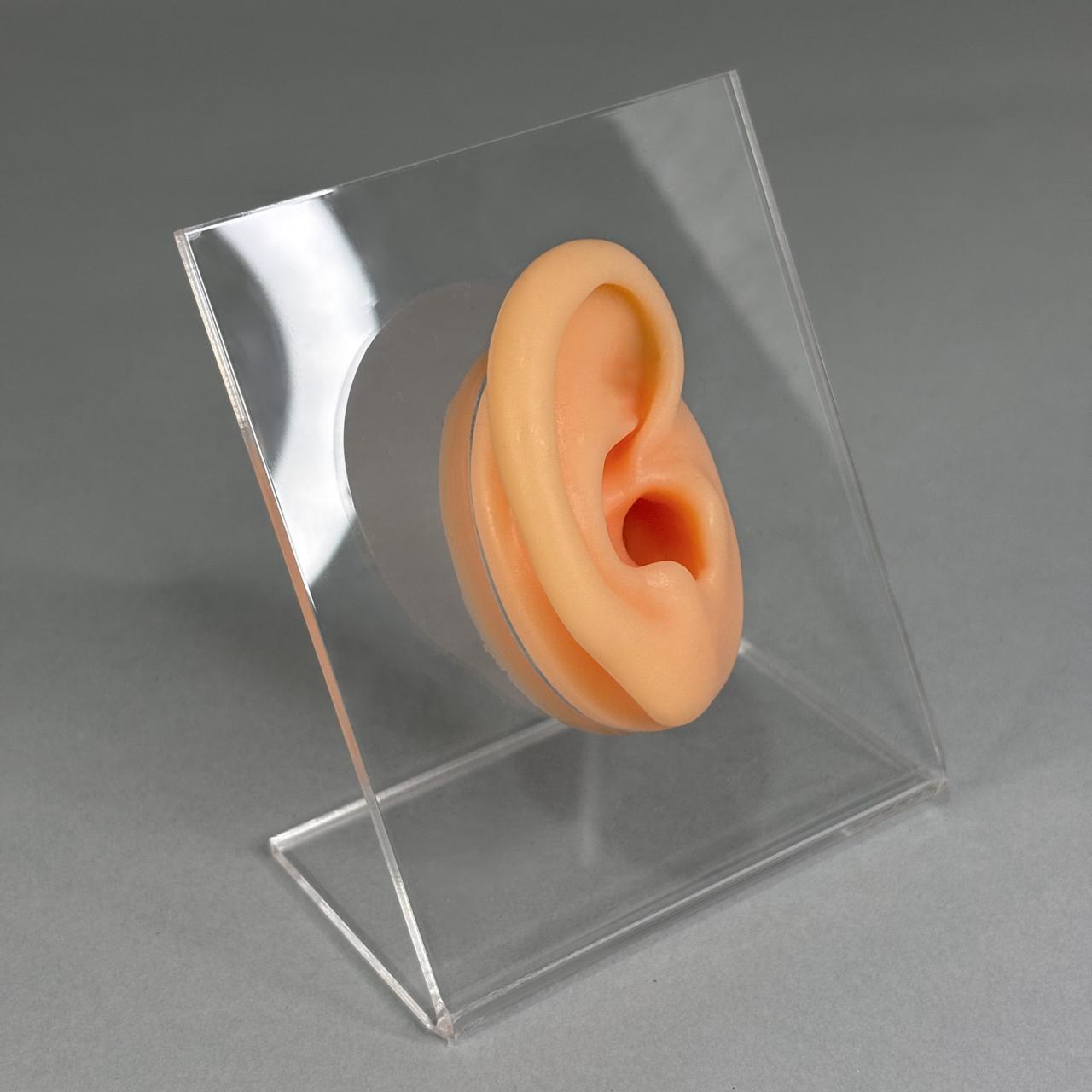 #ACC167 - Exhibidor De Joyería Oreja