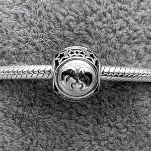 #PAN314 - Charm Signos Zodiacales