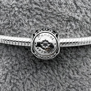 #PAN314 - Charm Signos Zodiacales