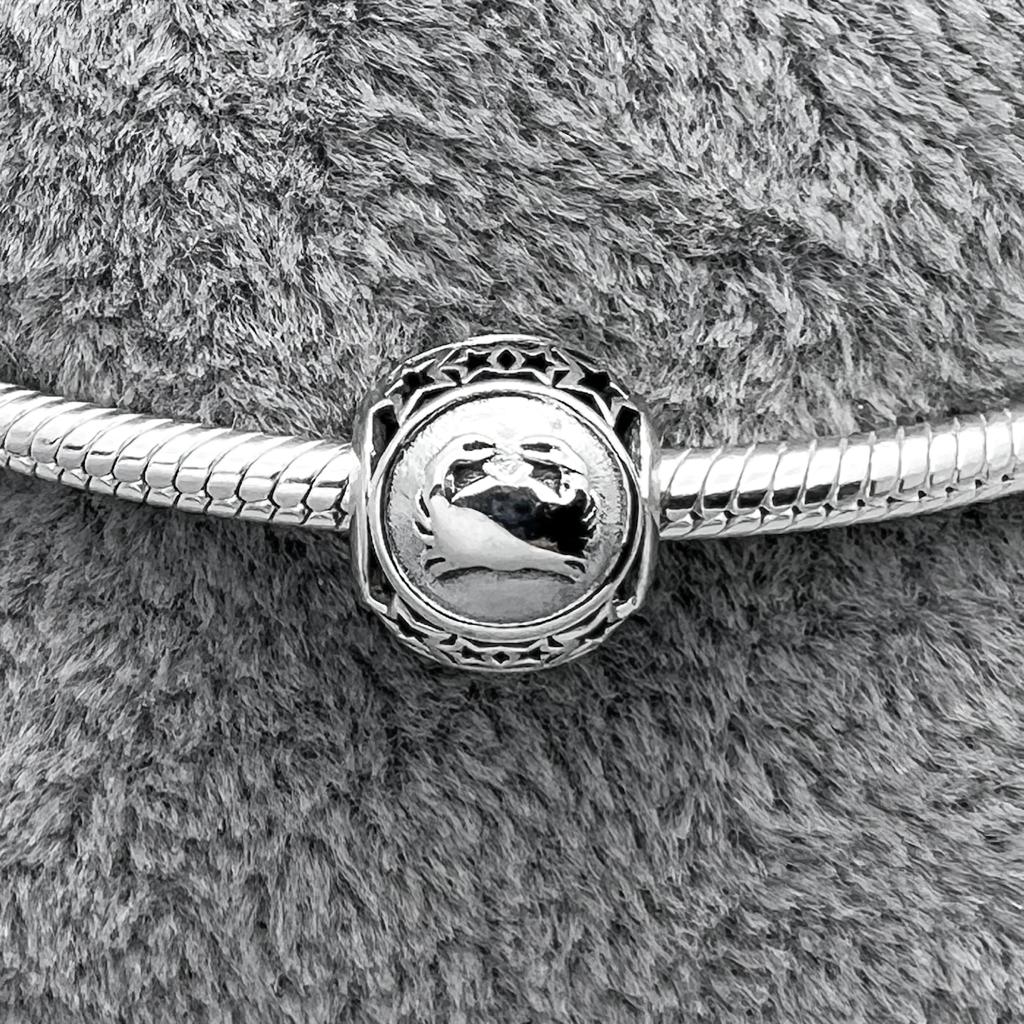 #PAN314 - Charm Signos Zodiacales