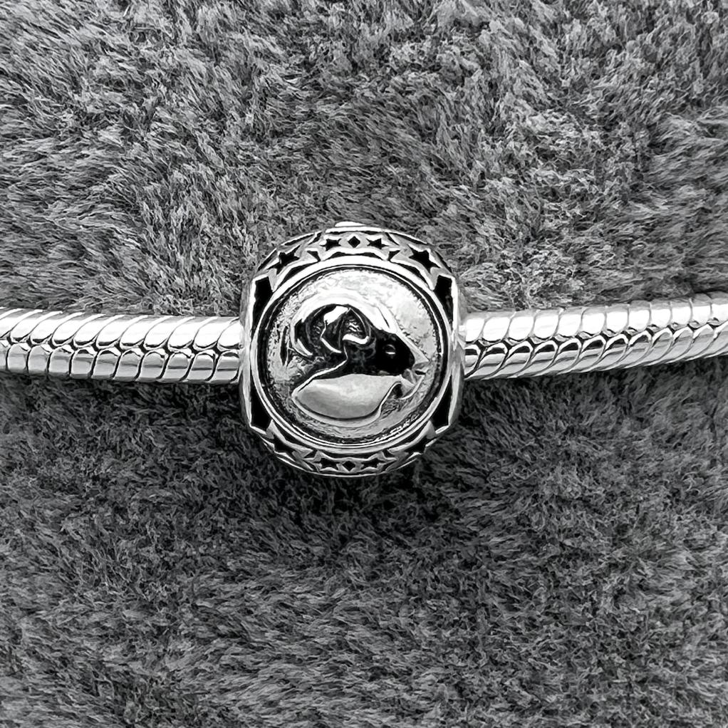 #PAN314 - Charm Signos Zodiacales
